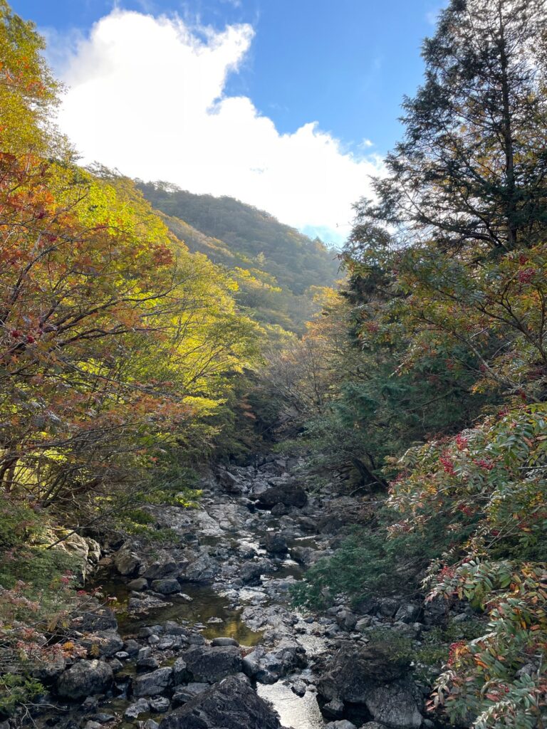 奈良県 大台ケ原と助六弁当 登山レポ ぽにこすたいる